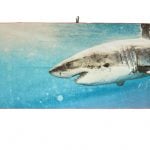 KEN-KIEFER-TOWEL-Shark